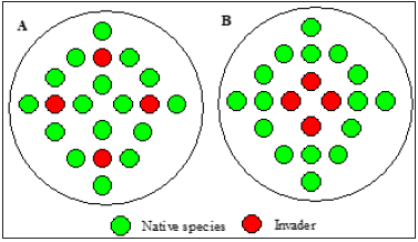 Click here to view Large image 1