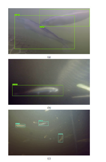 Click here to view Large image 5