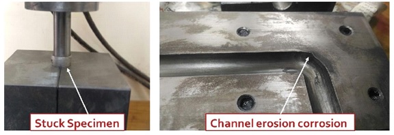 Click here to view Large image 7