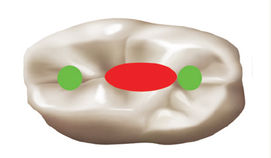 Click here to view Large Figure 6