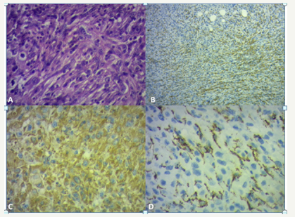 Click here to view Large image 2