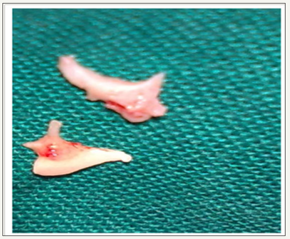 Click here to view Large image 1