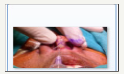 Click here to view Large image 3