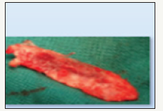 Click here to view Large image 4