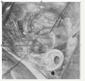 Click here to view Large image 1