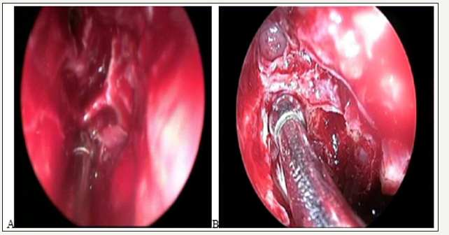 Click here to view Large image 3