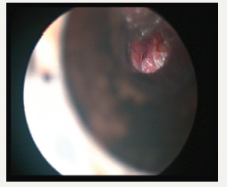 Click here to view Large image 1