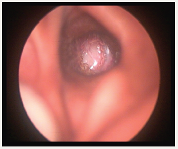 Click here to view Large image 2