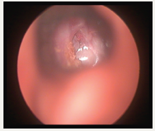 Click here to view Large image 3