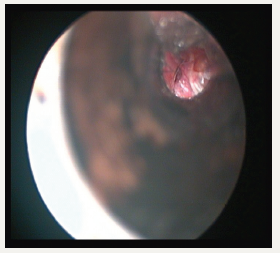 Click here to view Large image 4