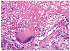 Click here to view Large image 2