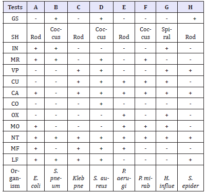 Click here to view Large table 2