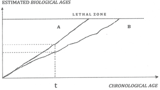Click here to view Large Figure 5