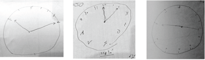 Click here to view Large Figure 1