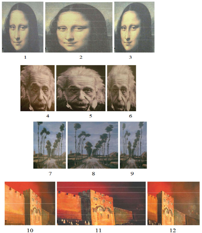 Click here to view Large Figure 1