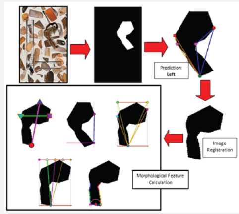 Click here to view Large Figure 1