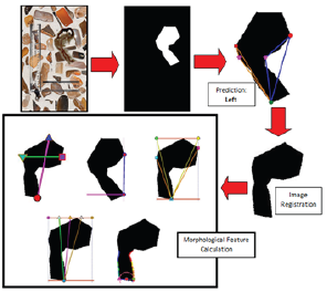 Click here to view Large Figure 2