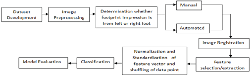Click here to view Large Figure 3