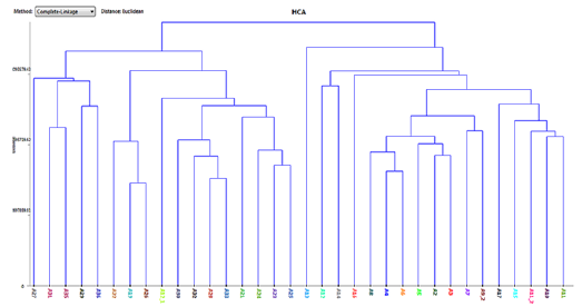 Click here to view Large Figure 1