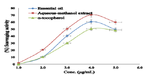 Click here to view Large Figure 1