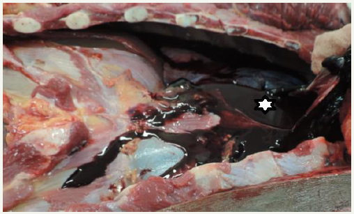 Click here to view Large image 1