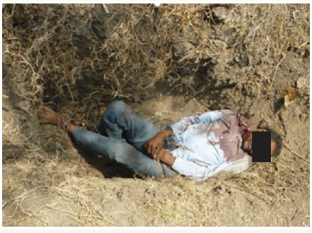 Click here to view Large image 1