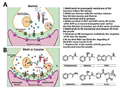 Click here to view Large image 5