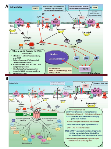 Click here to view Large image 6