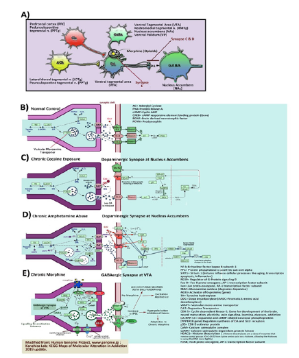 Click here to view Large image 7