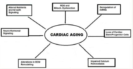 Click here to view Large Figure 1