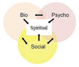 Click here to view Large Figure 1