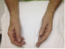 Click here to view Large Figure 1