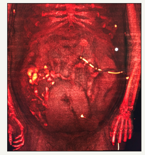 Click here to view Large image 3