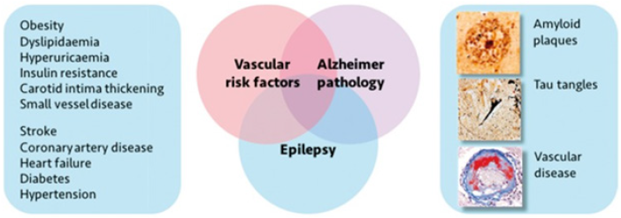 Click here to view Large image 2