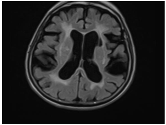 Click here to view Large image 1