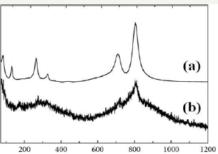 Click here to view Large Figure 4