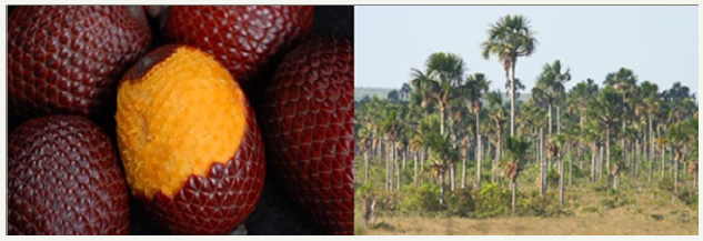 Click here to view Large image 1