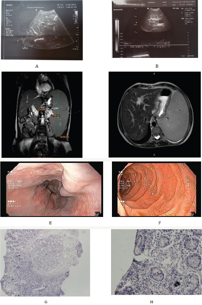 Click here to view Large Figure 1