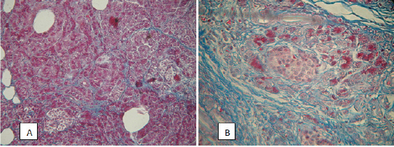 Click here to view Large Figure 2