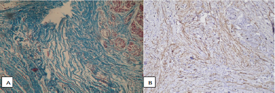 Click here to view Large Figure 5