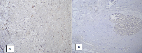 Click here to view Large Figure 7