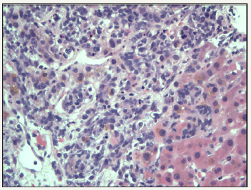 Click here to view Large image 1