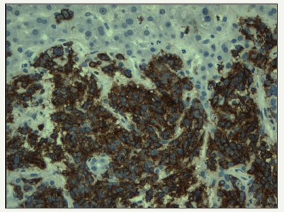 Click here to view Large image 2