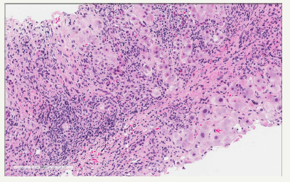 Click here to view Large image 3