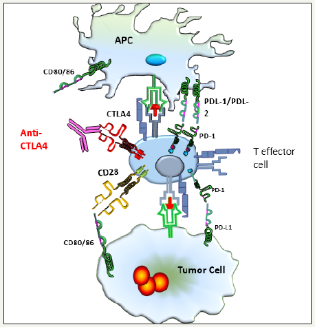 Click here to view Large image 1