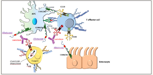 Click here to view Large image 2
