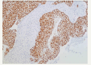 Click here to view Large image 4