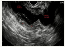 Click here to view Large image 10