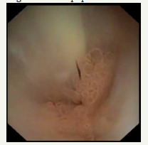 Click here to view Large image 12