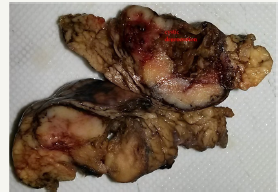 Click here to view Large image 22